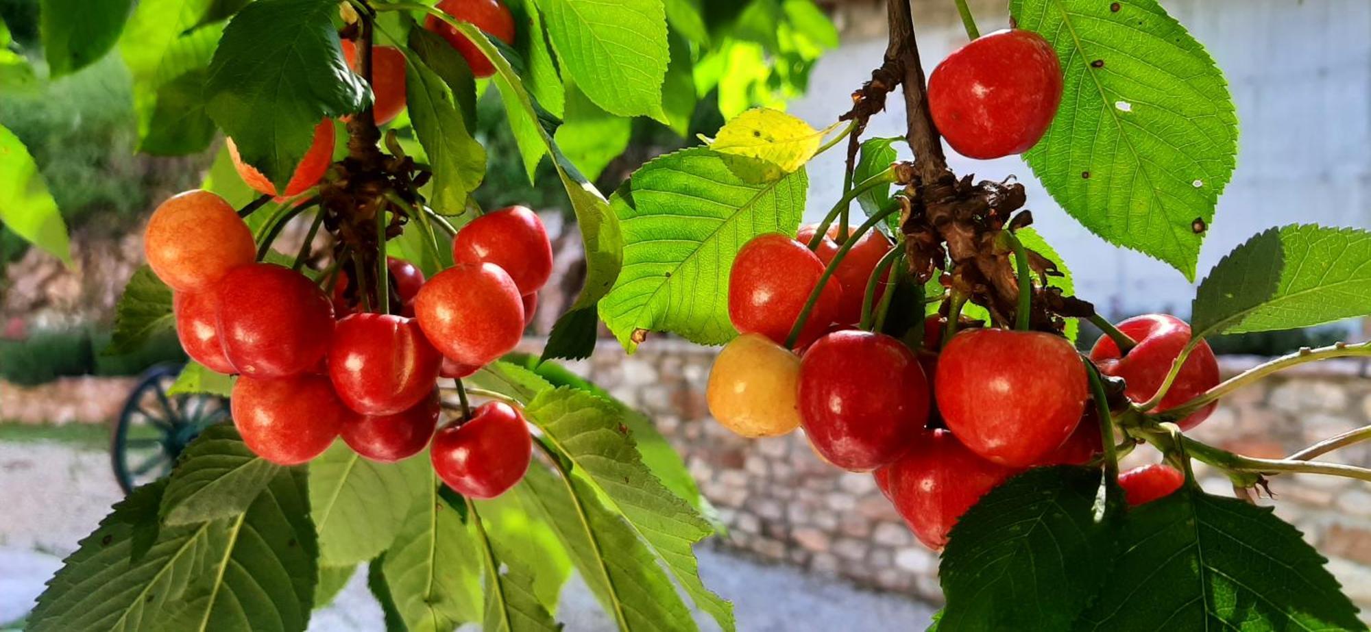 B&B Dell'Osteria 산타나톨리아디나르코 외부 사진